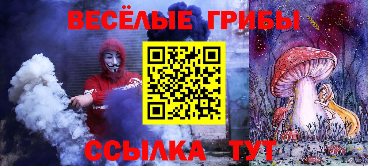 Псилоцибиновые грибы мицелий Вязники